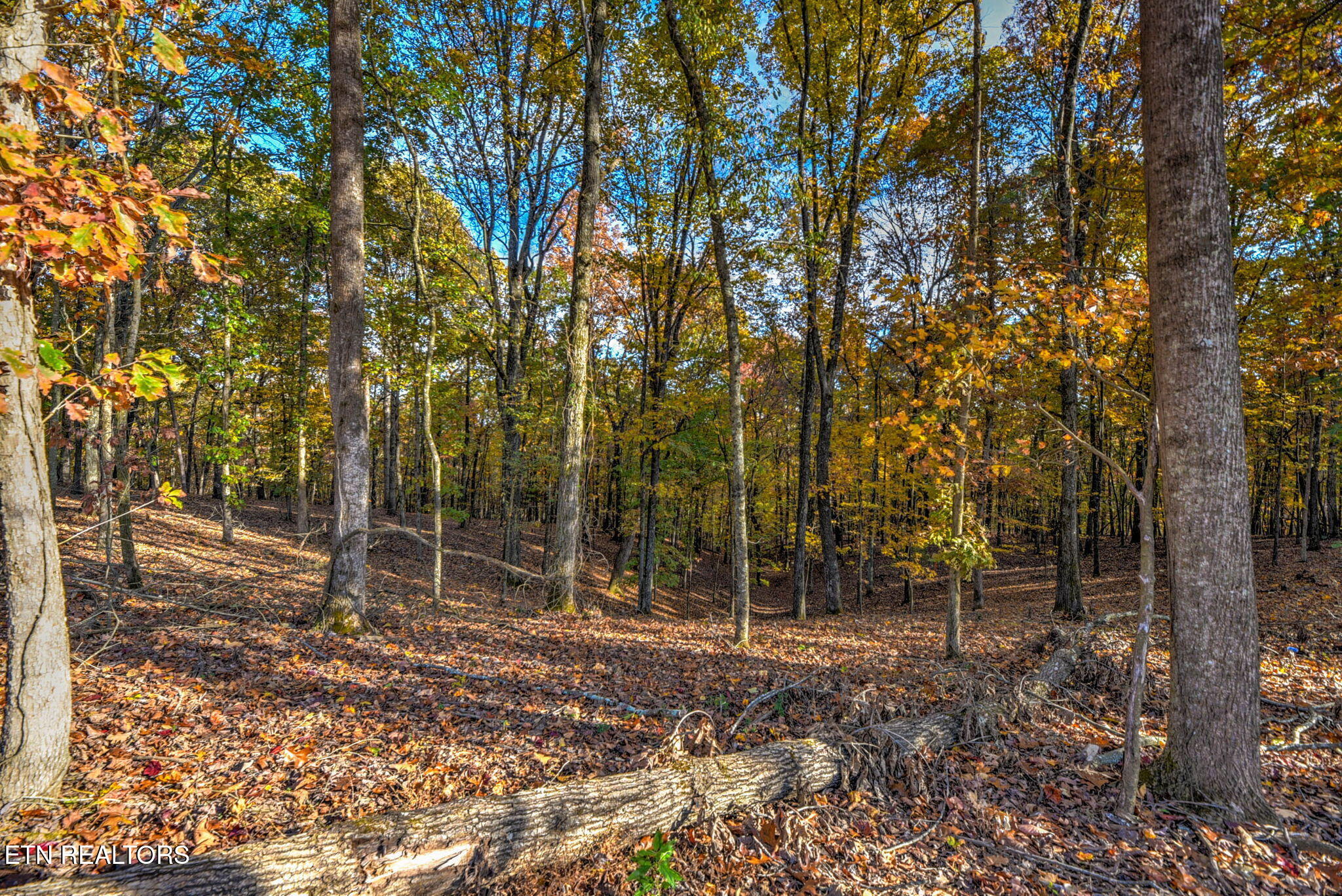 3010 Old Dogwood Trail Loudon TN 37774