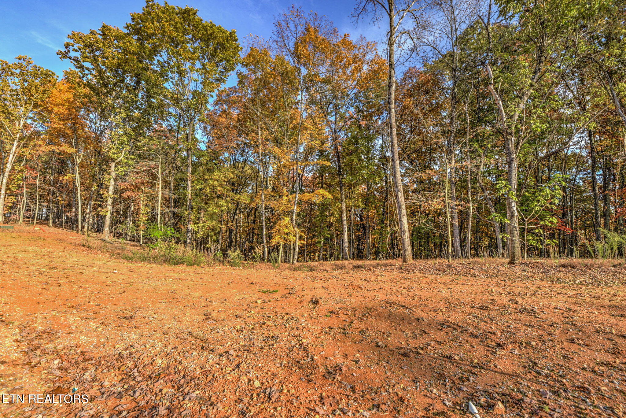 3010 Old Dogwood Trail Loudon TN 37774