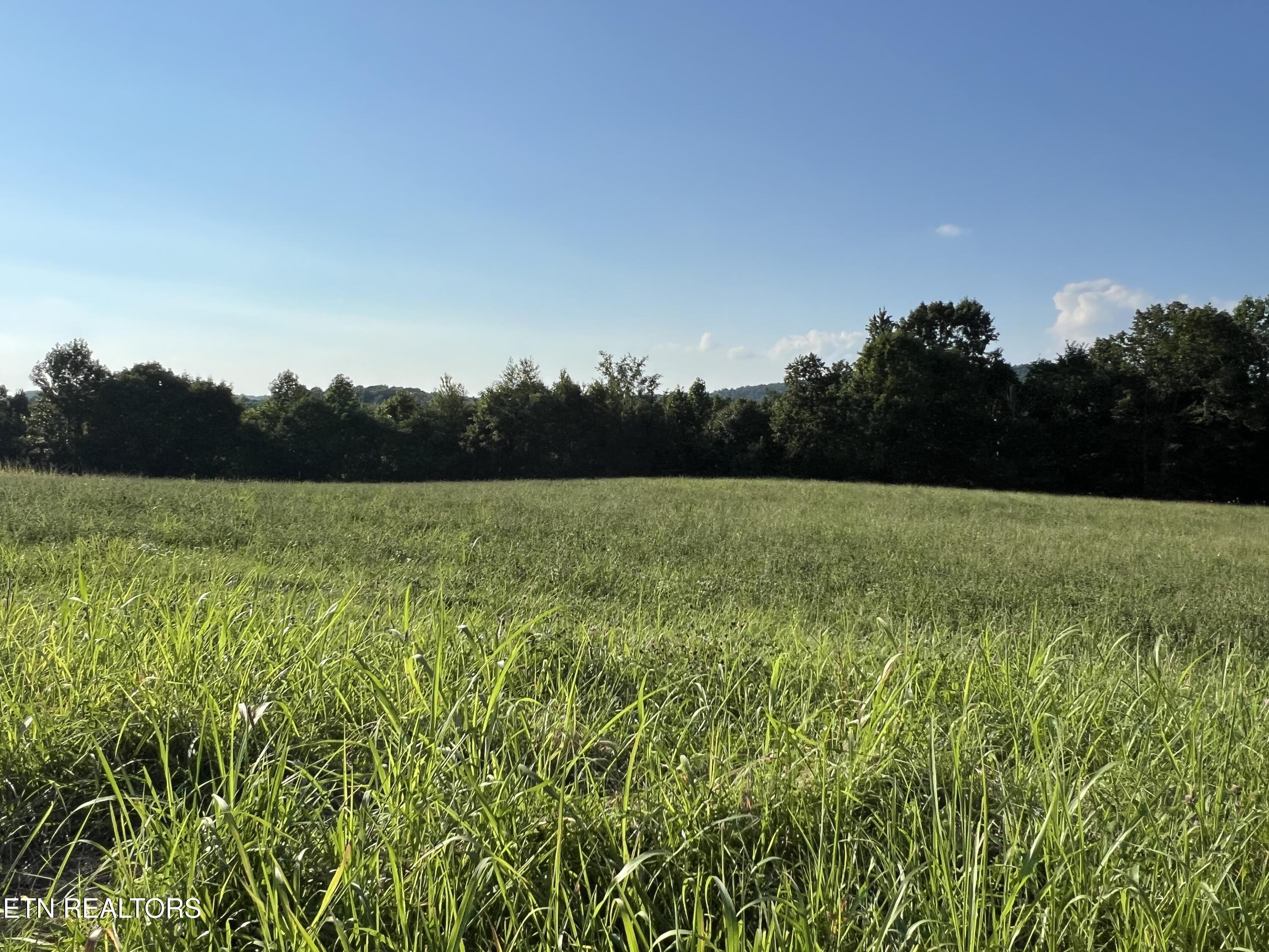 Lot 26 Amonett Circle Byrdstown TN 38549