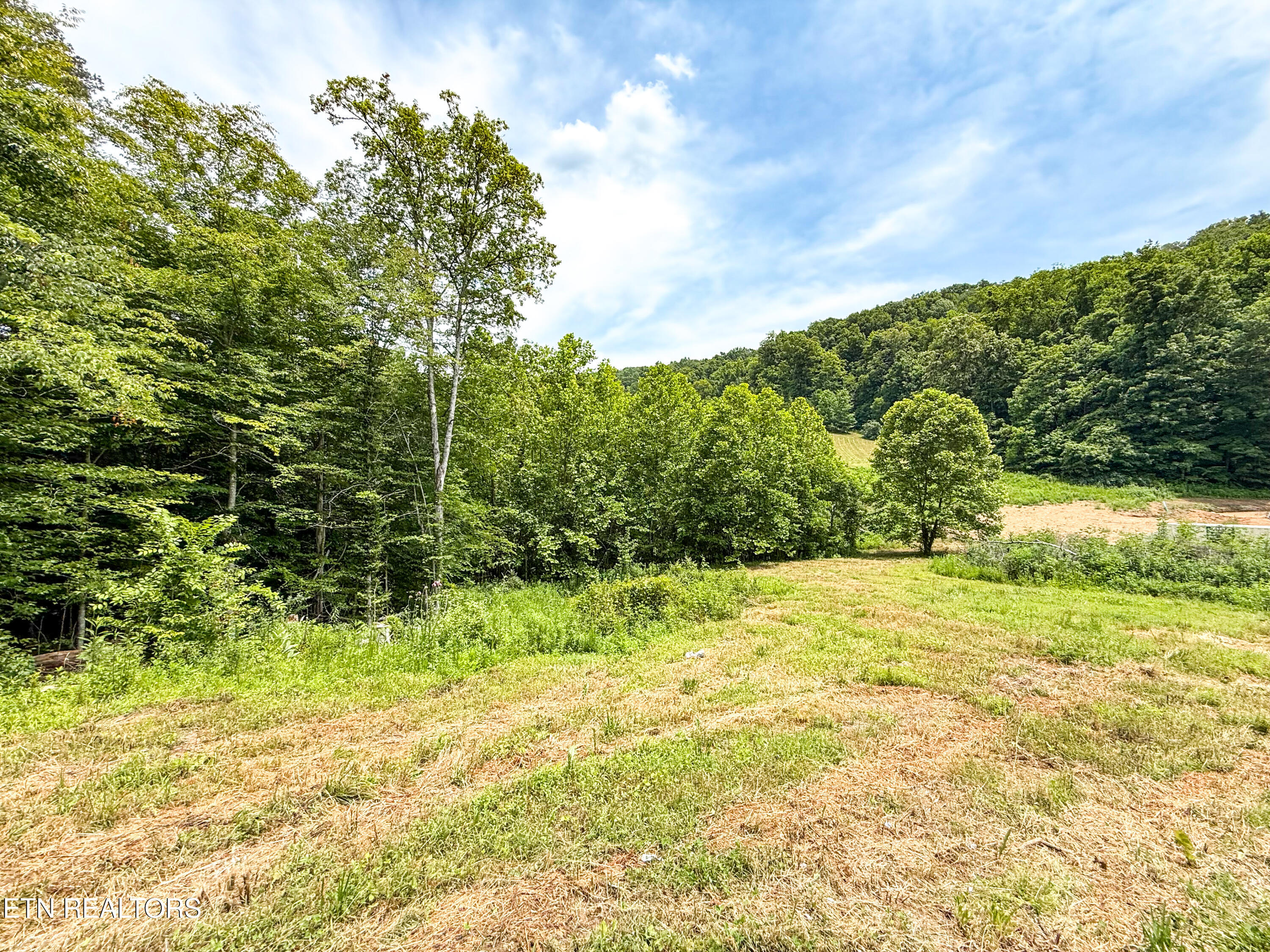 117 Cherry Oak Drive Oak Ridge TN 37830