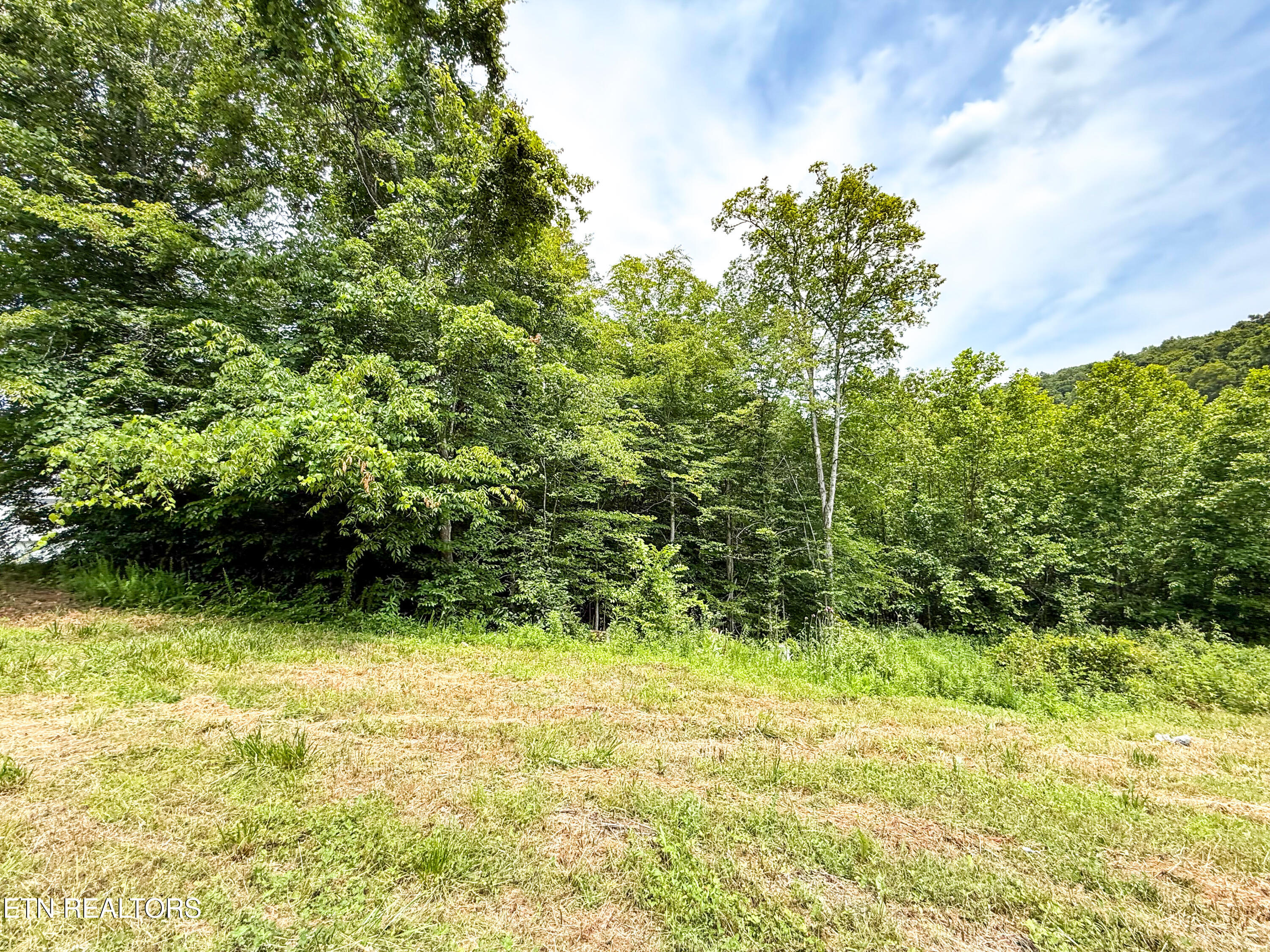 117 Cherry Oak Drive Oak Ridge TN 37830