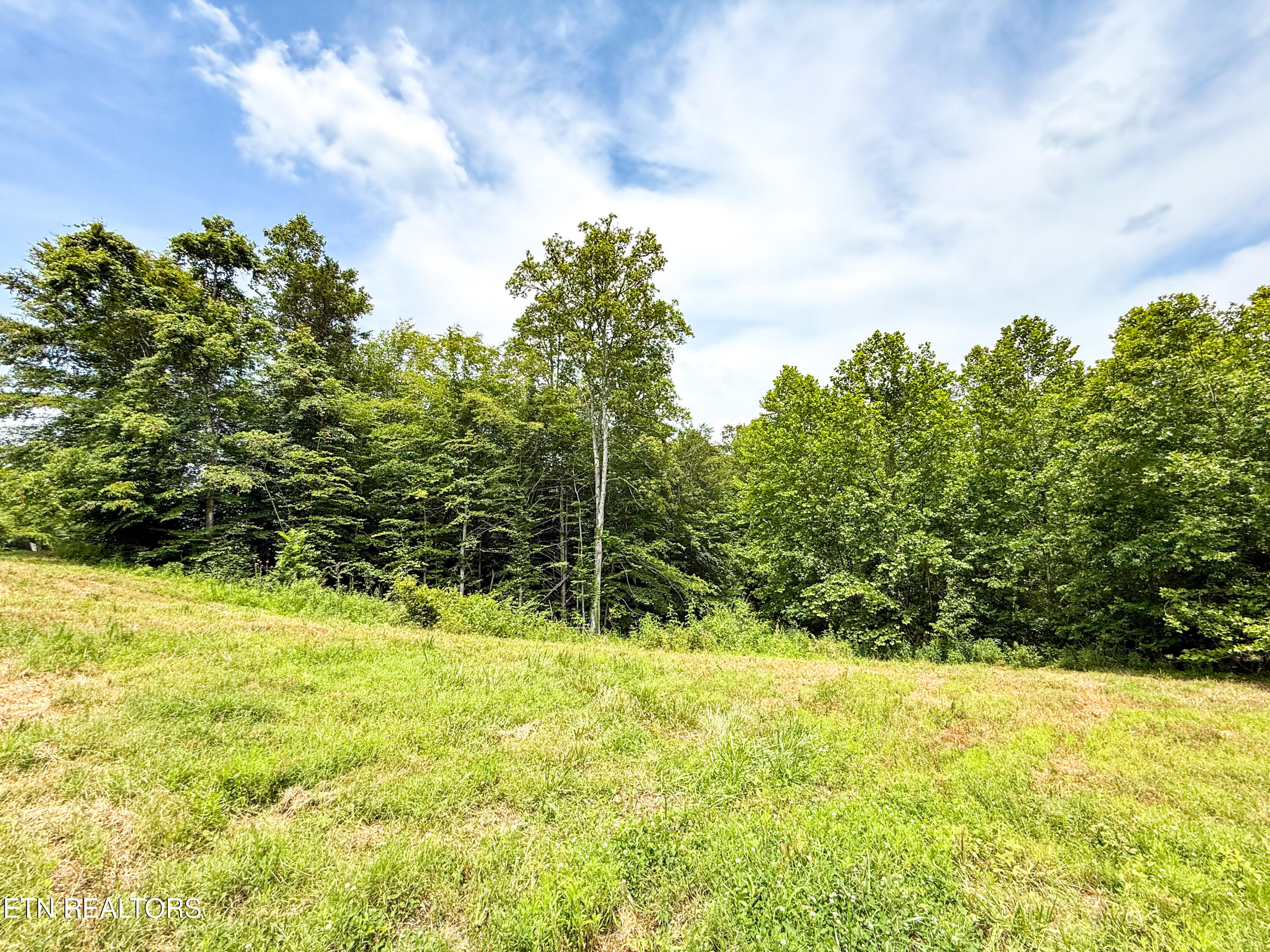 117 Cherry Oak Drive Oak Ridge TN 37830