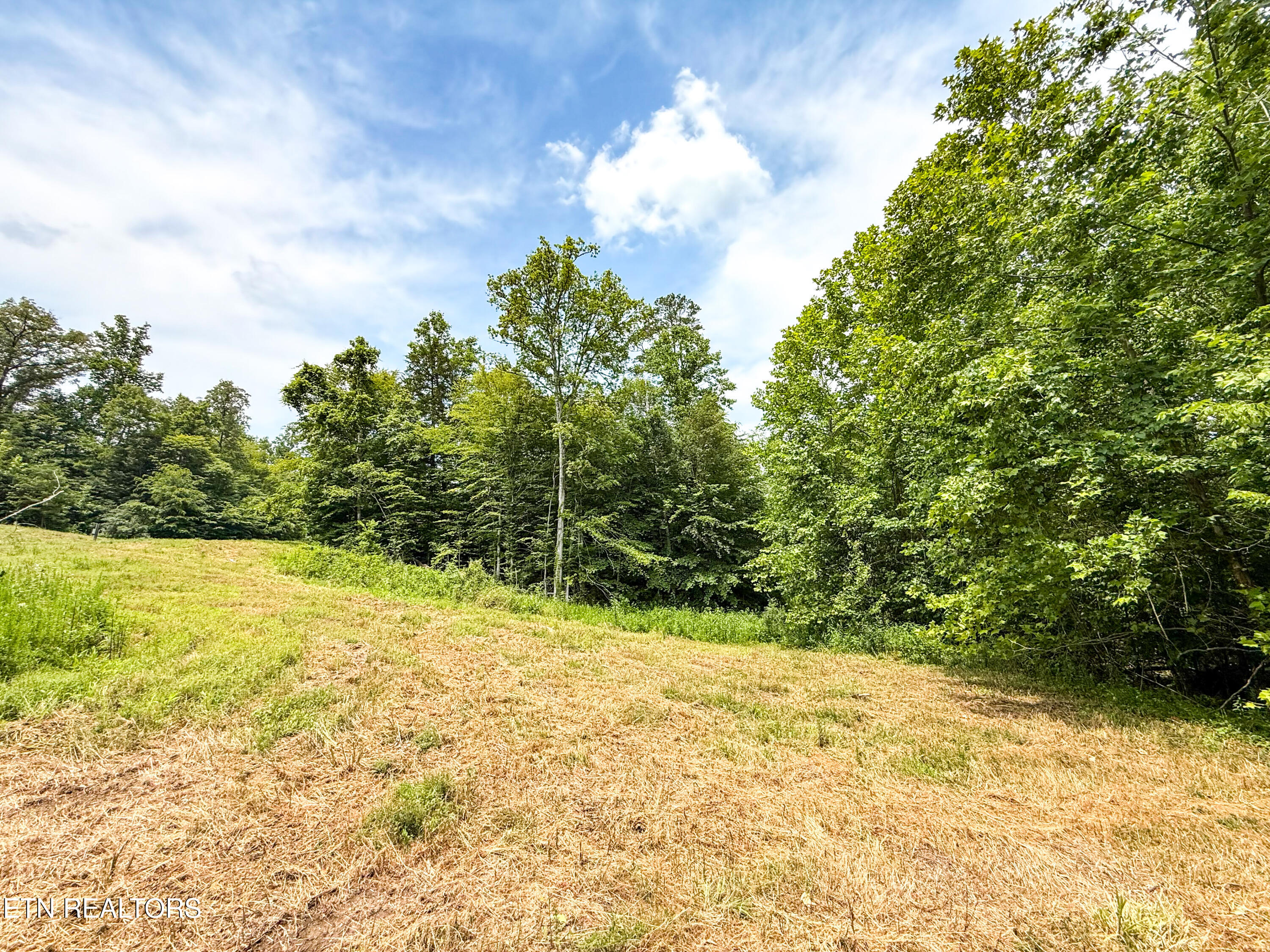 117 Cherry Oak Drive Oak Ridge TN 37830