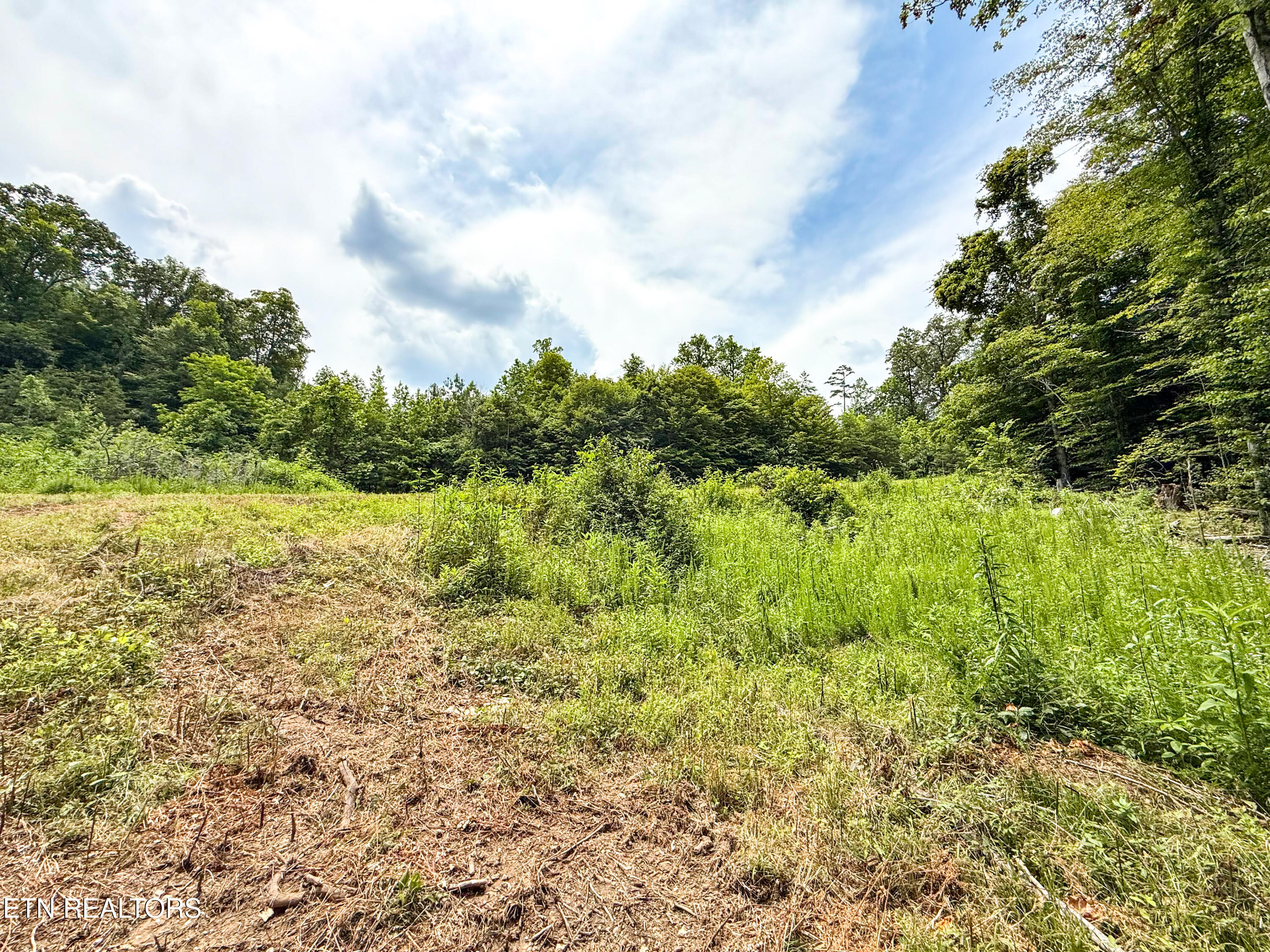 117 Cherry Oak Drive Oak Ridge TN 37830