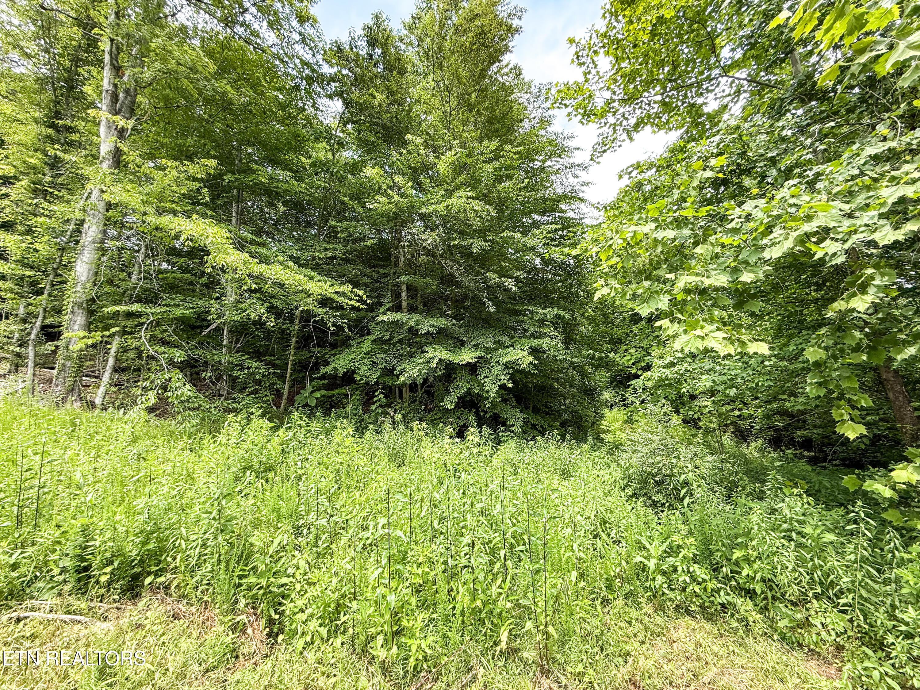 117 Cherry Oak Drive Oak Ridge TN 37830
