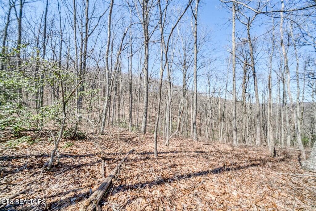 LOT734 Renegade Mountain Parkway Crab Orchard TN 37723