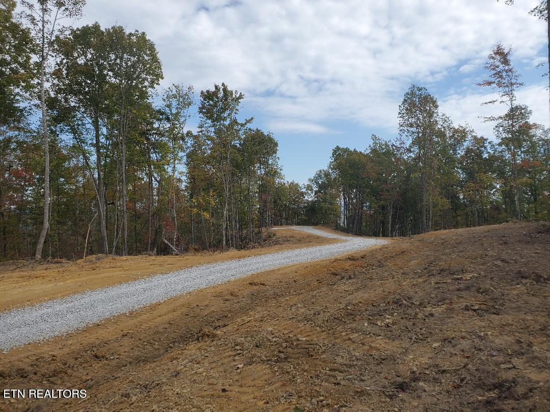 Bull Creek Road S/0 Huntsville TN 37756