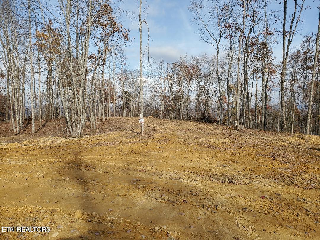 Bull Creek Road S/0 Huntsville TN 37756