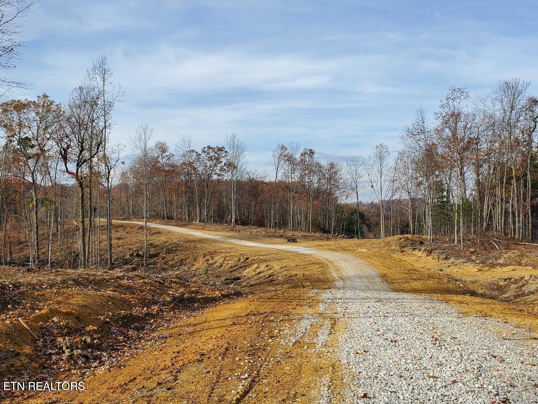 Bull Creek Road S/0 Huntsville TN 37756