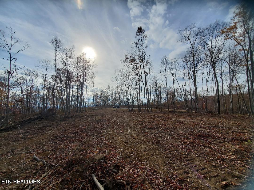 Bull Creek Road S/0 Huntsville TN 37756