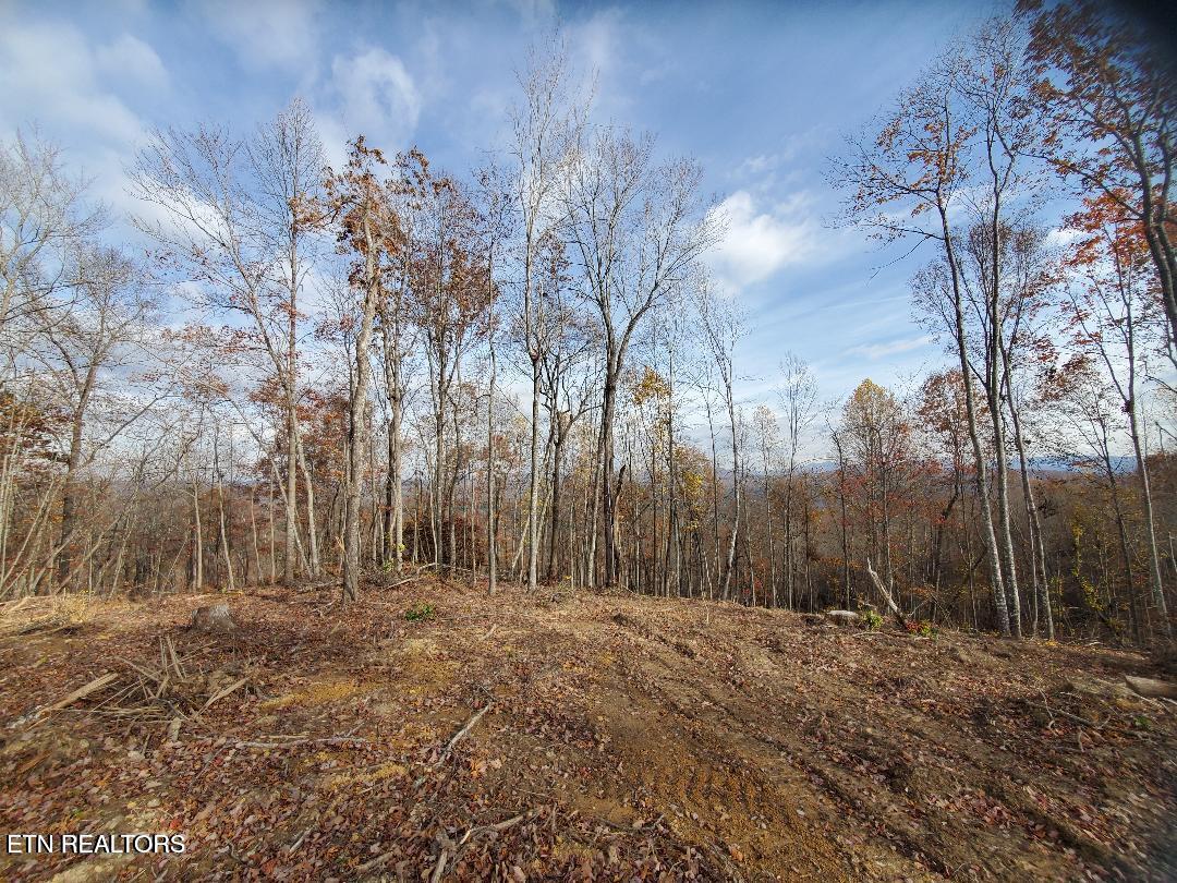 Bull Creek Road S/0 Huntsville TN 37756
