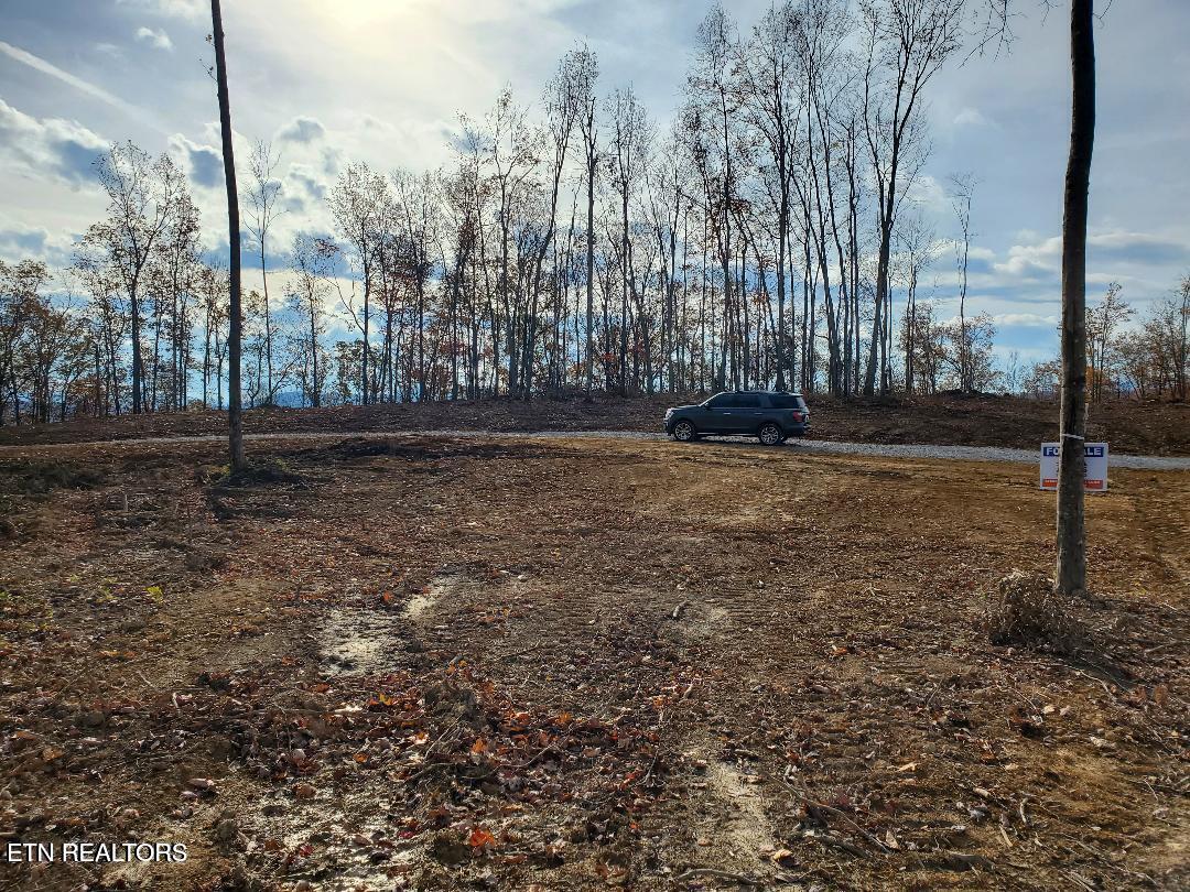 Bull Creek Road S/0 Huntsville TN 37756