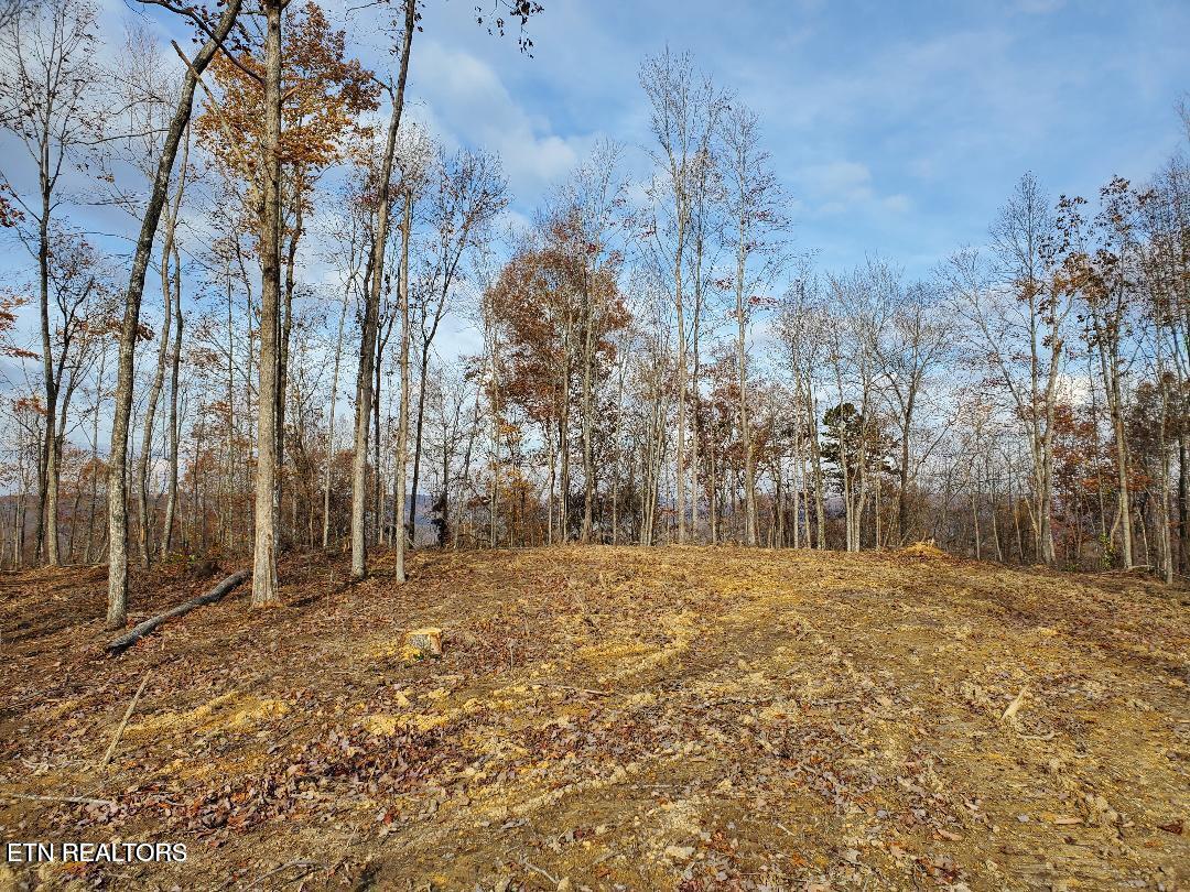 Bull Creek Road S/0 Huntsville TN 37756