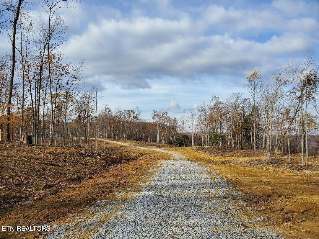 Bull Creek Road S/0 Huntsville TN 37756