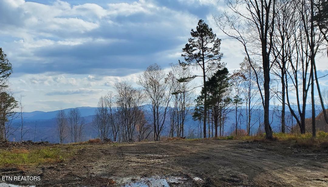 Bull Creek Road S/0 Huntsville TN 37756