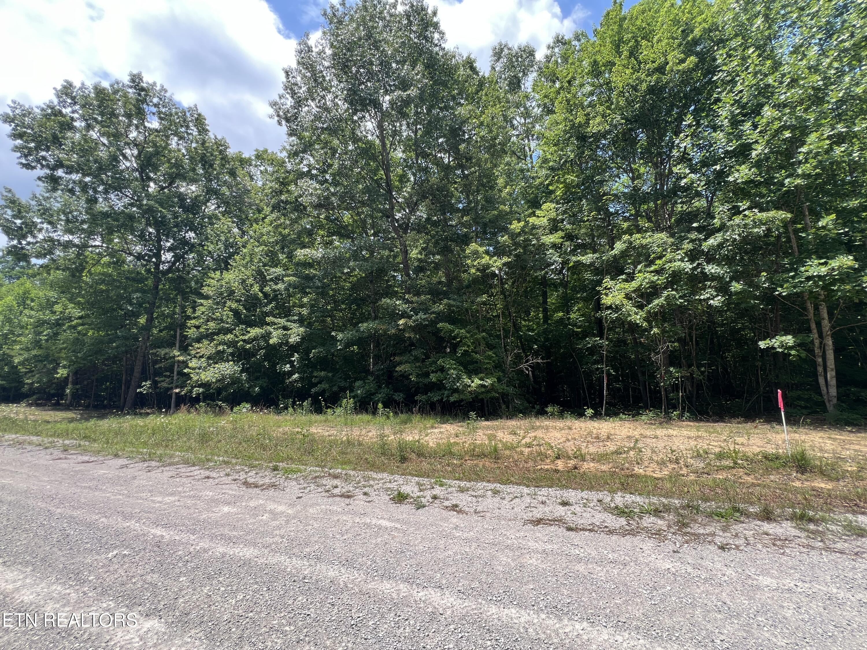 Lot 216 Hargis Road Grimsley TN 38565