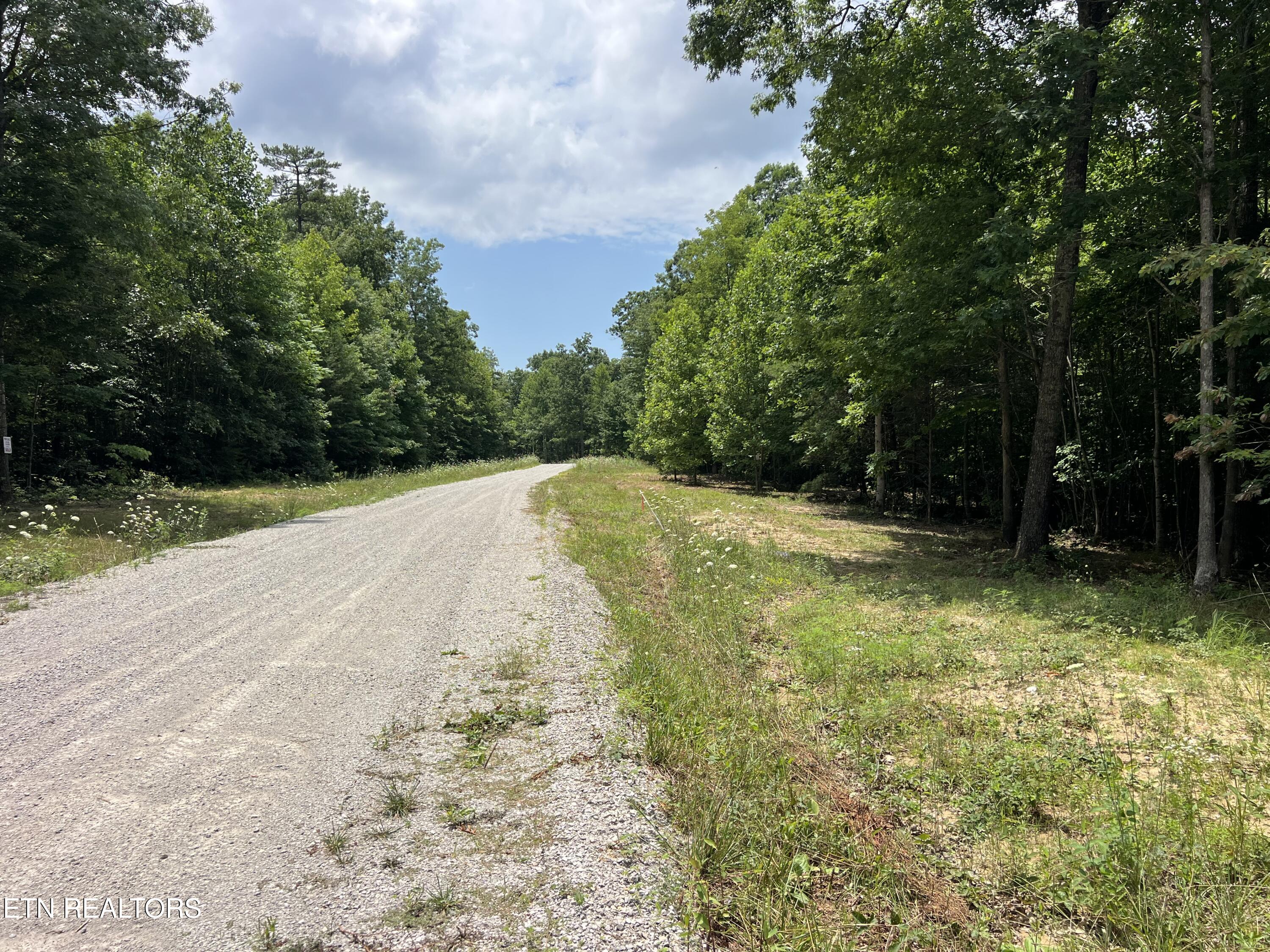 Lot 216 Hargis Road Grimsley TN 38565