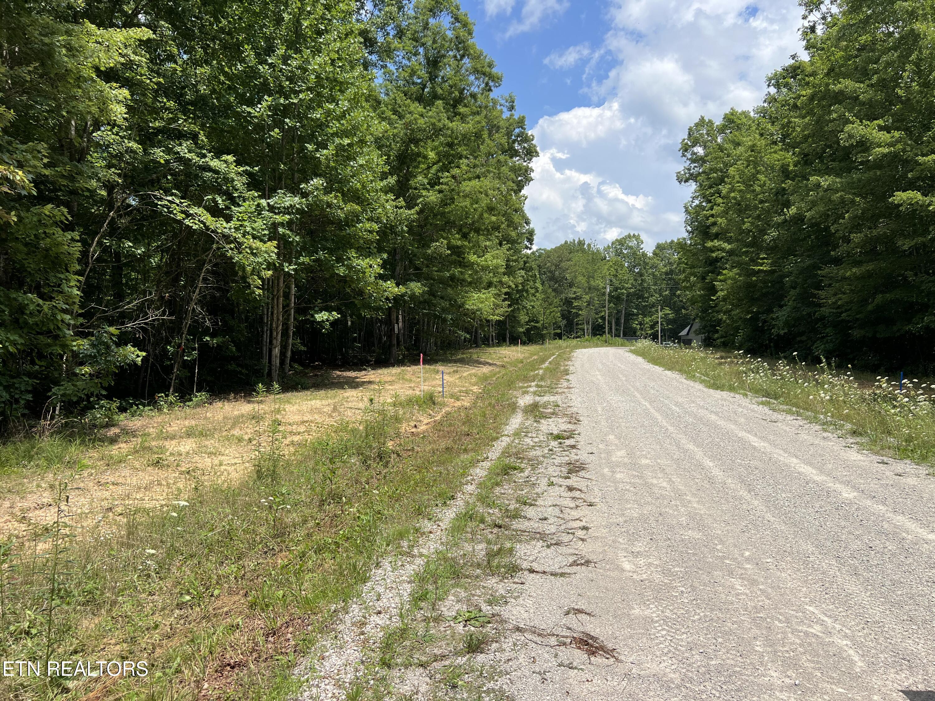 Lot 216 Hargis Road Grimsley TN 38565