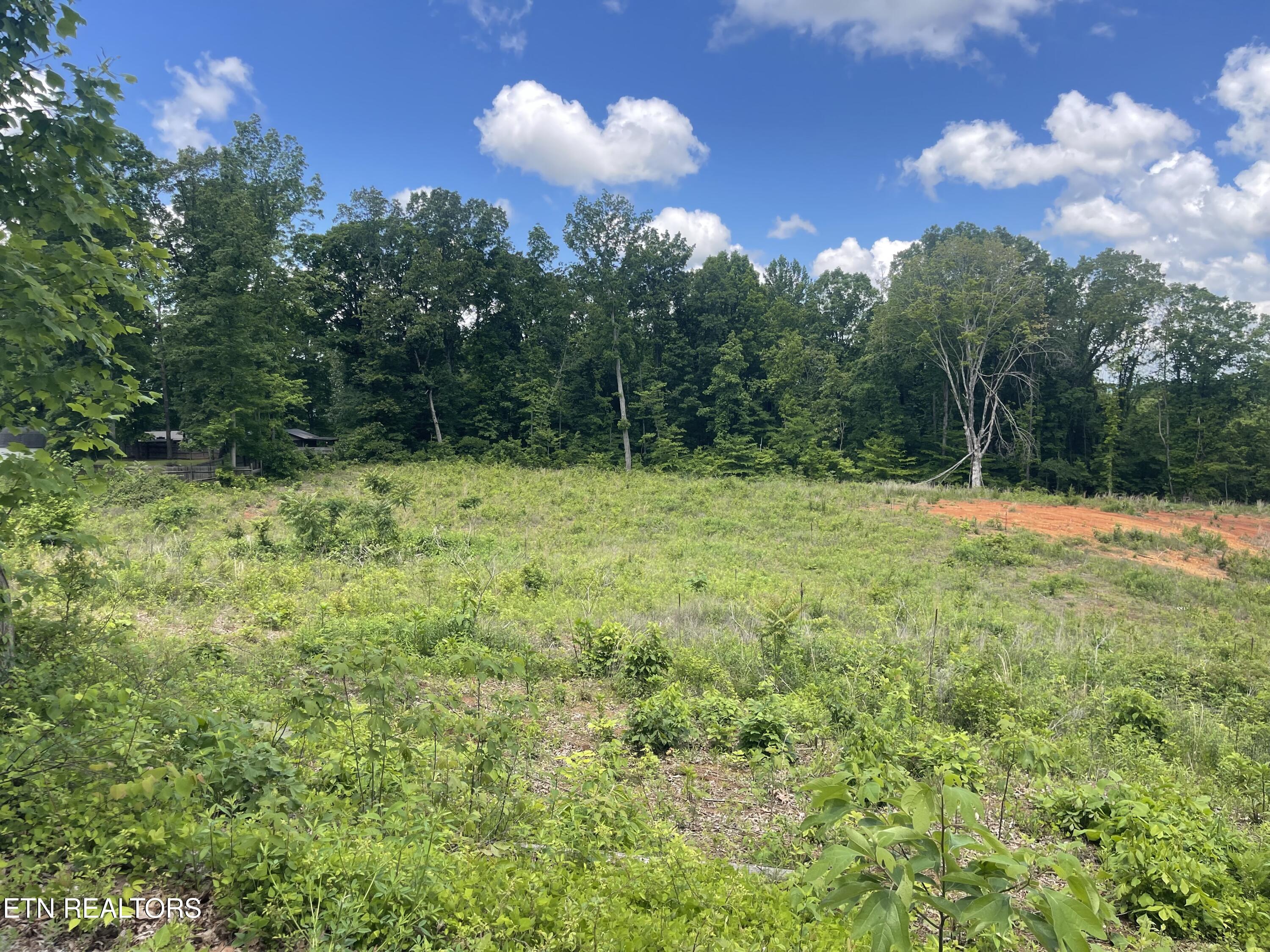 Lot 9 Laura Boling Loop Road Strawberry Plains TN 37871