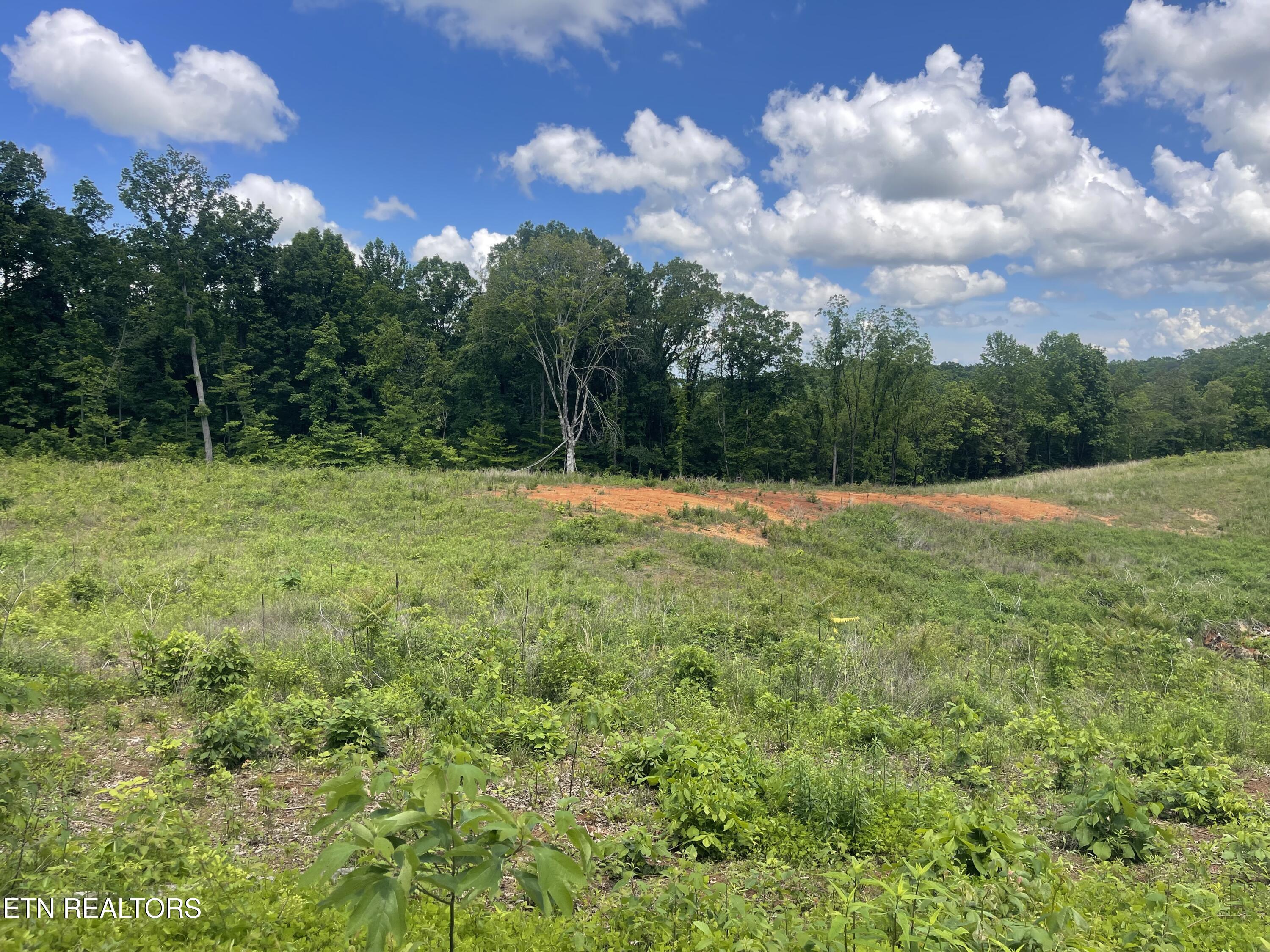 Lot 9 Laura Boling Loop Road Strawberry Plains TN 37871