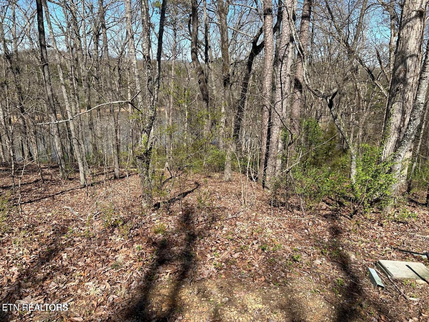 313 Skiatook Circle Loudon TN 37774
