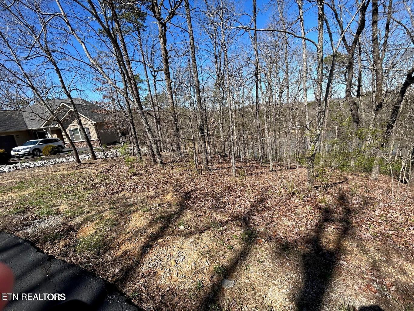 313 Skiatook Circle Loudon TN 37774