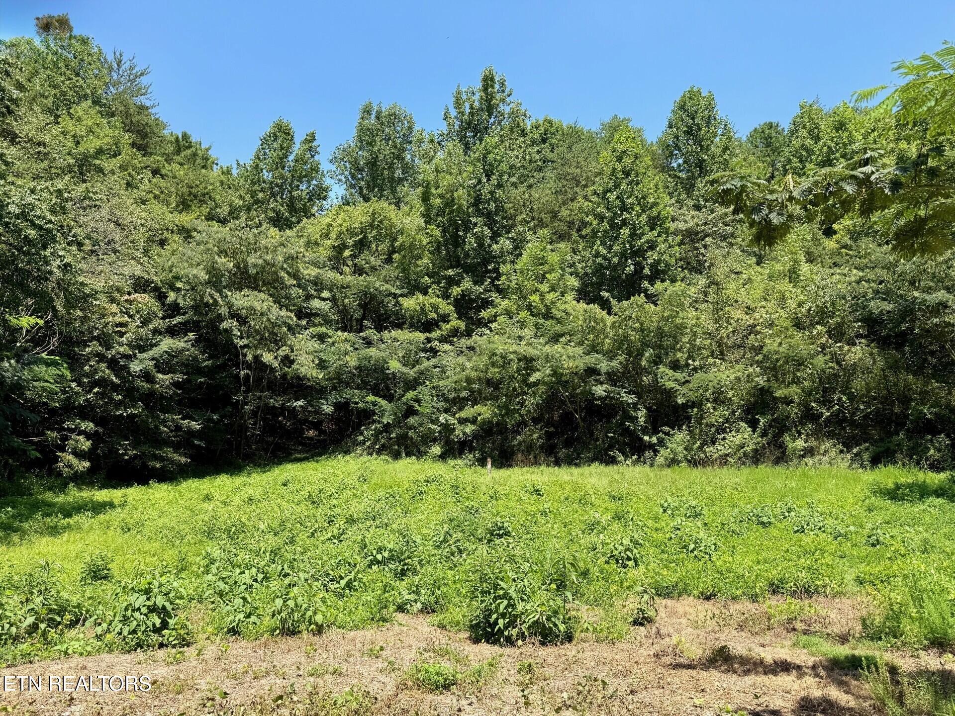 Lot 0000 Ogle Drive Pigeon Forge TN 37863