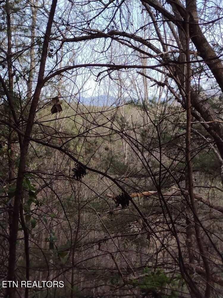 Lot 0000 Ogle Drive Pigeon Forge TN 37863