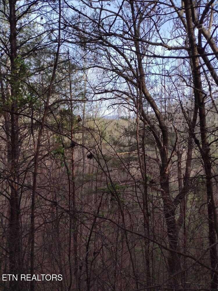 Lot 0000 Ogle Drive Pigeon Forge TN 37863