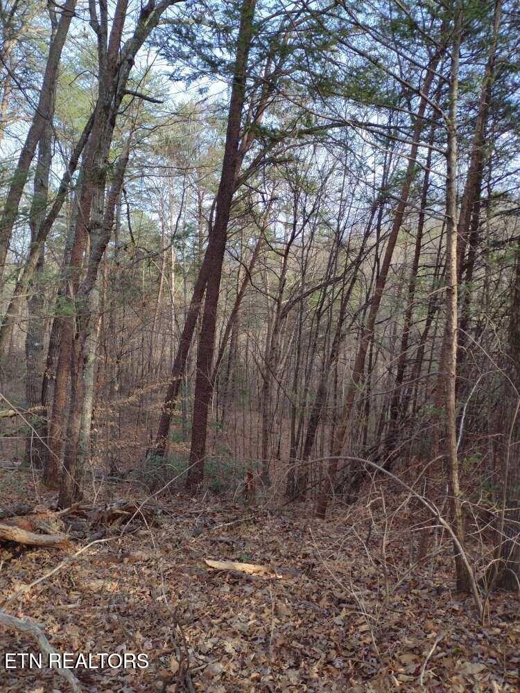 Lot 0000 Ogle Drive Pigeon Forge TN 37863