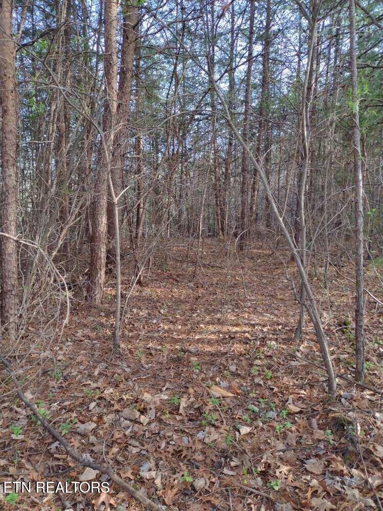 Lot 0000 Ogle Drive Pigeon Forge TN 37863