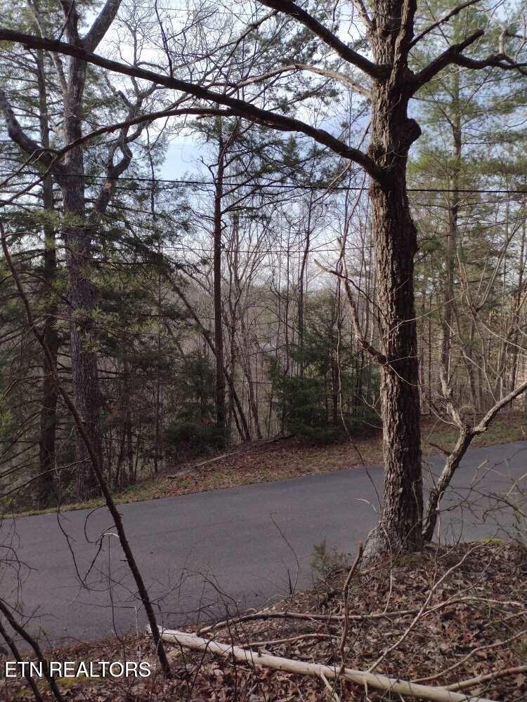 Lot 0000 Ogle Drive Pigeon Forge TN 37863