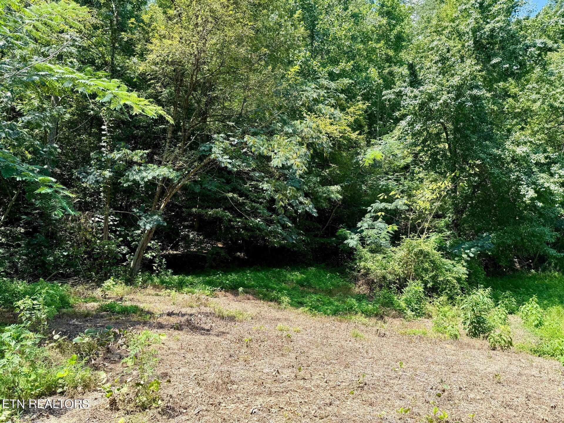 Lot 0000 Ogle Drive Pigeon Forge TN 37863