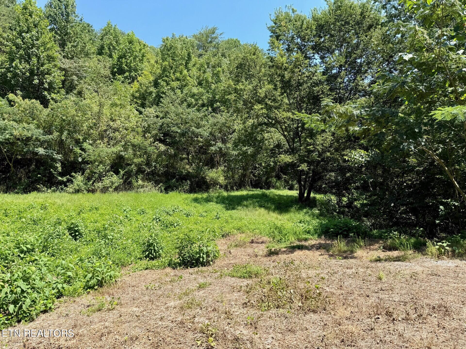 Lot 0000 Ogle Drive Pigeon Forge TN 37863