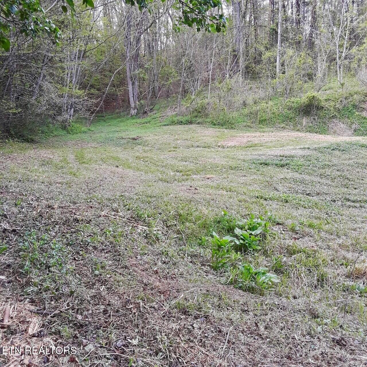 Lot 0000 Ogle Drive Pigeon Forge TN 37863