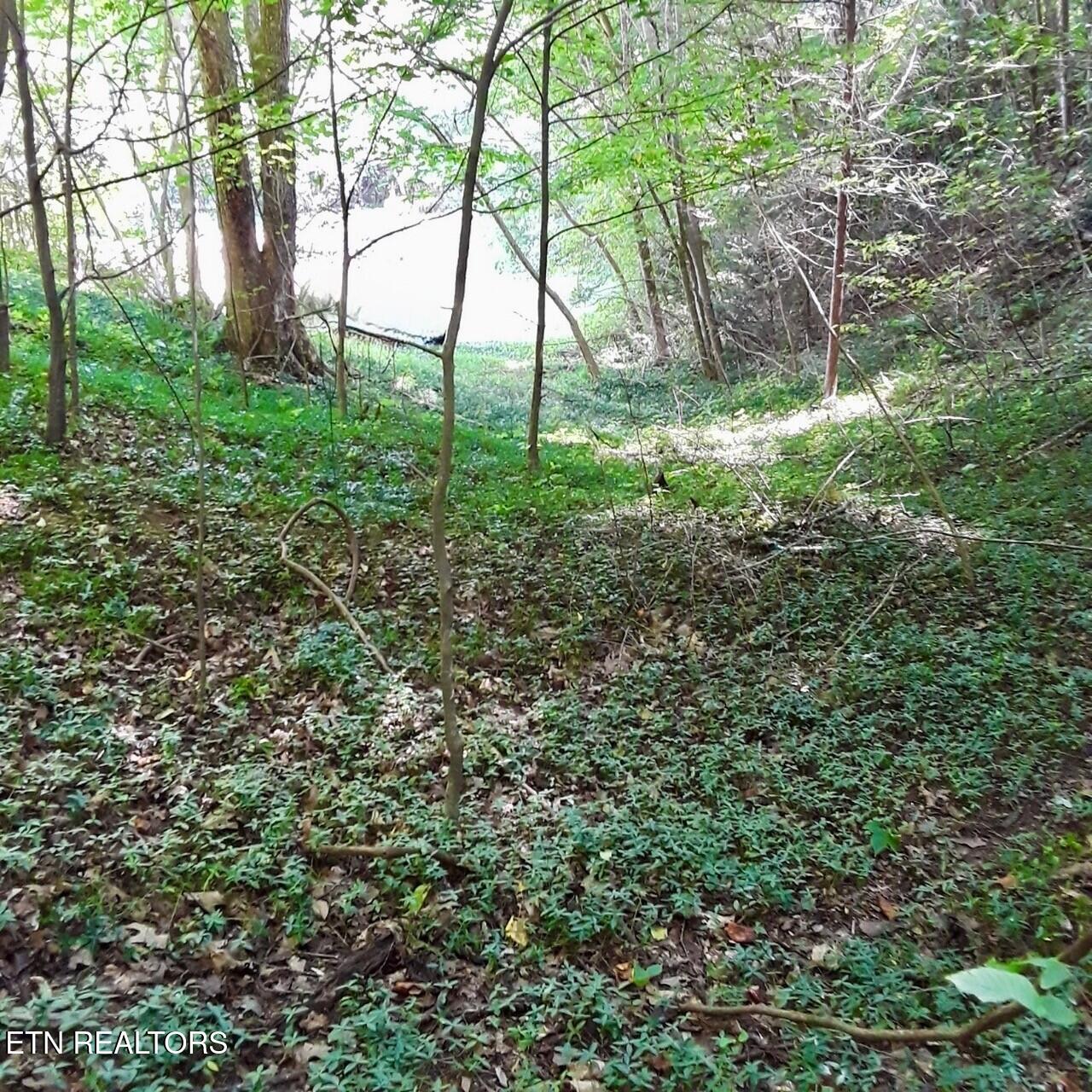 Lot 0000 Ogle Drive Pigeon Forge TN 37863