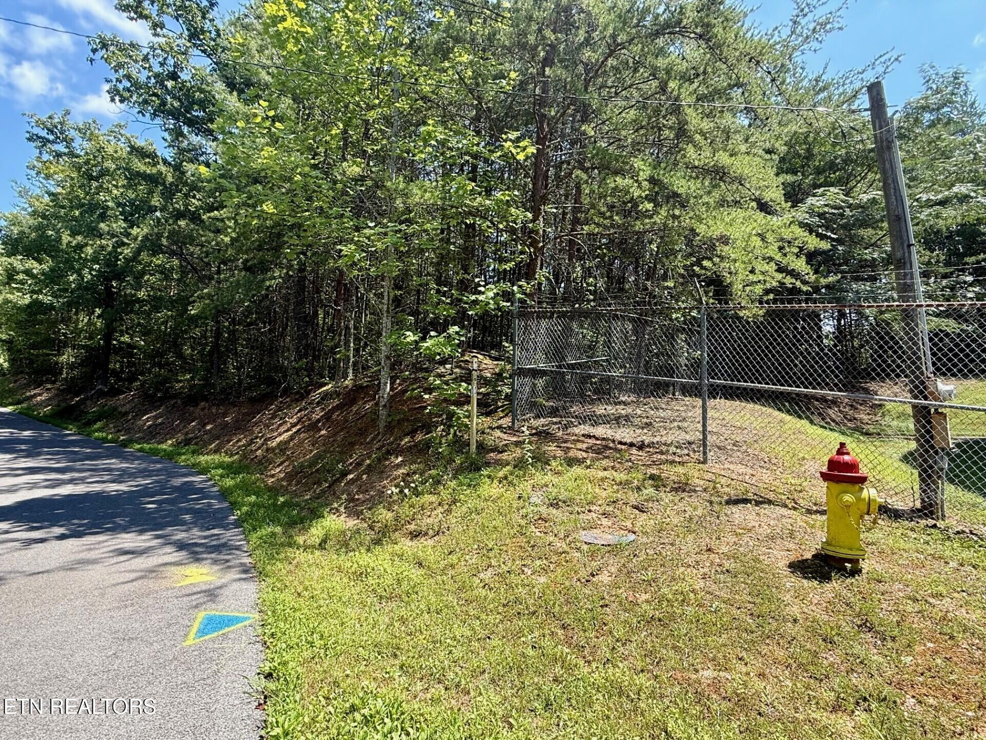 Lot 0000 Ogle Drive Pigeon Forge TN 37863