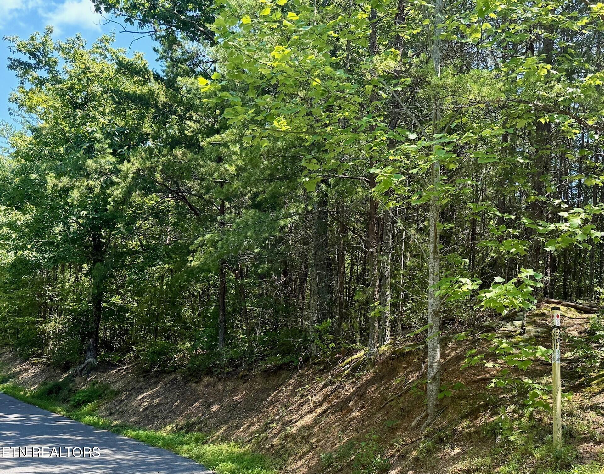 Lot 0000 Ogle Drive Pigeon Forge TN 37863