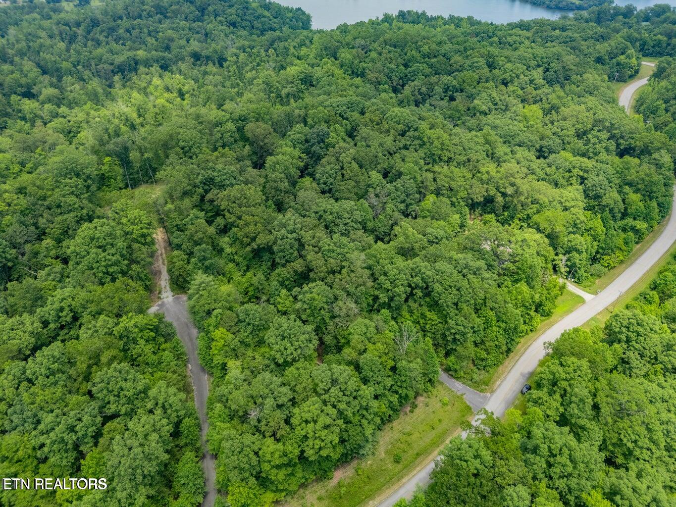 Crystal Springs Road Rockwood TN 37854