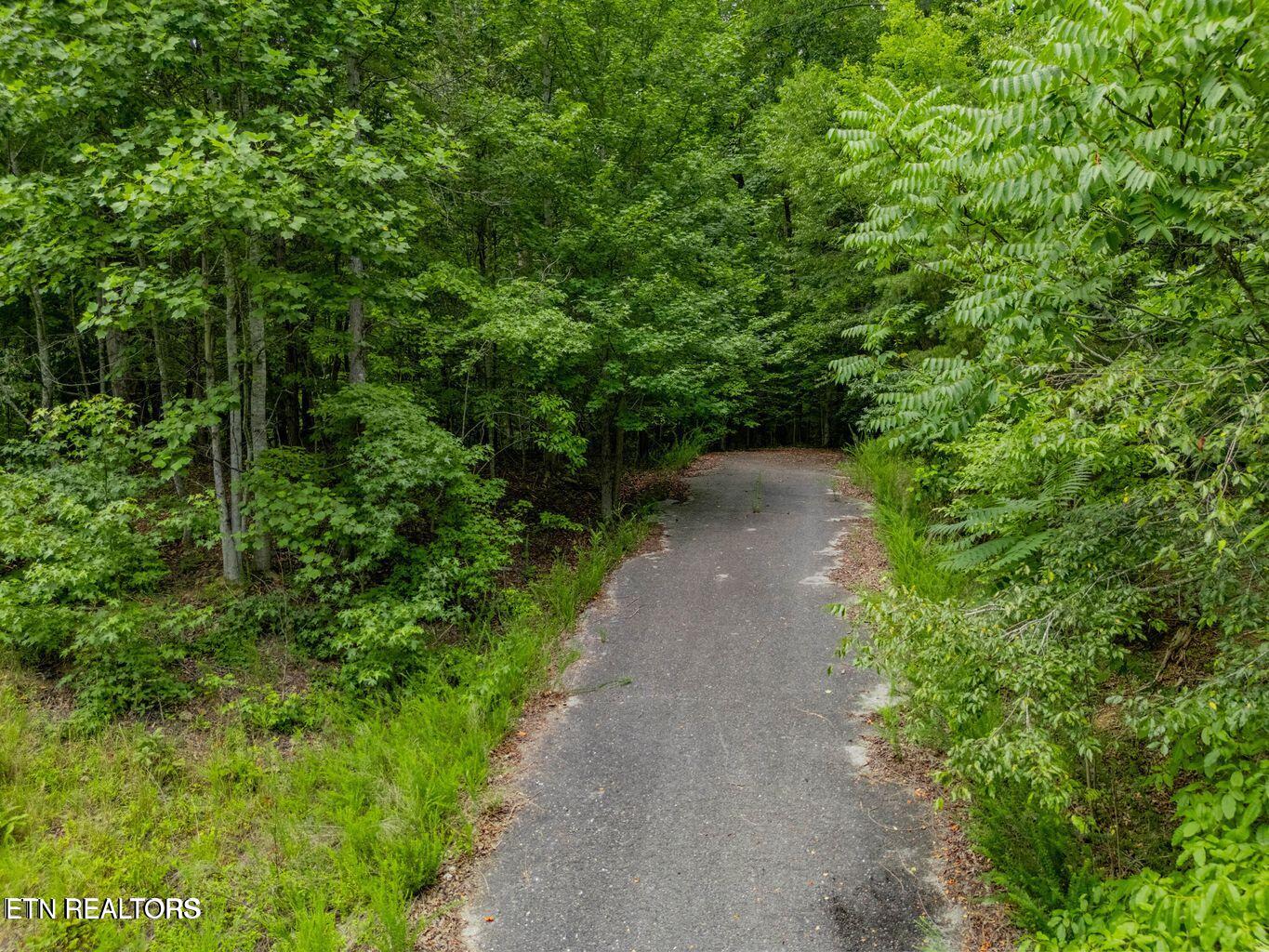 Crystal Springs Road Rockwood TN 37854