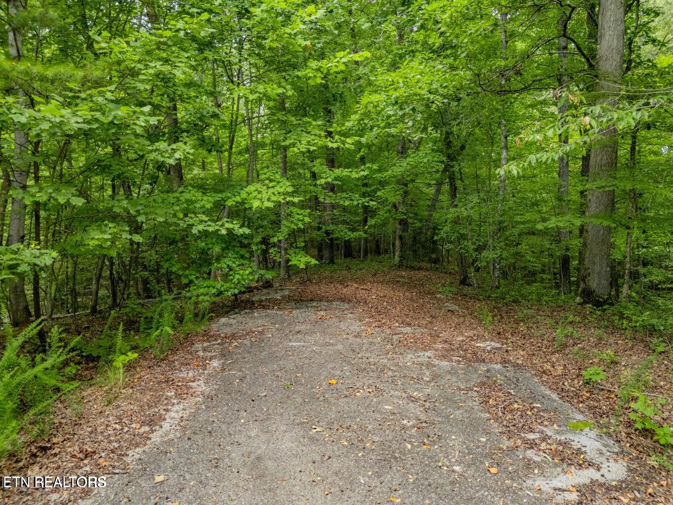 Crystal Springs Road Rockwood TN 37854