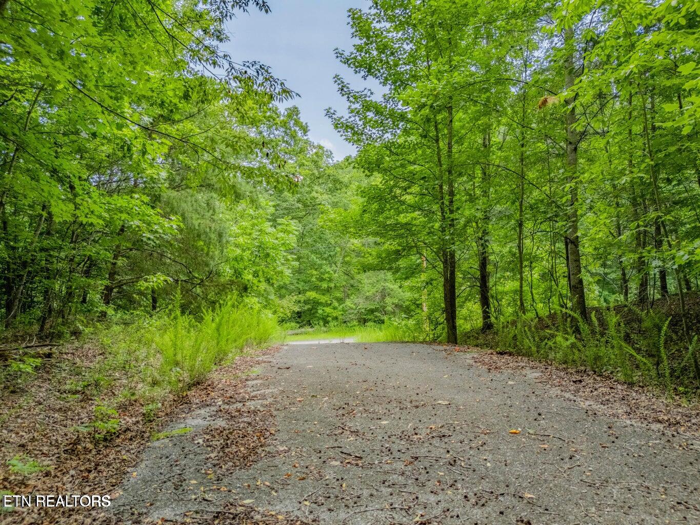 Crystal Springs Road Rockwood TN 37854