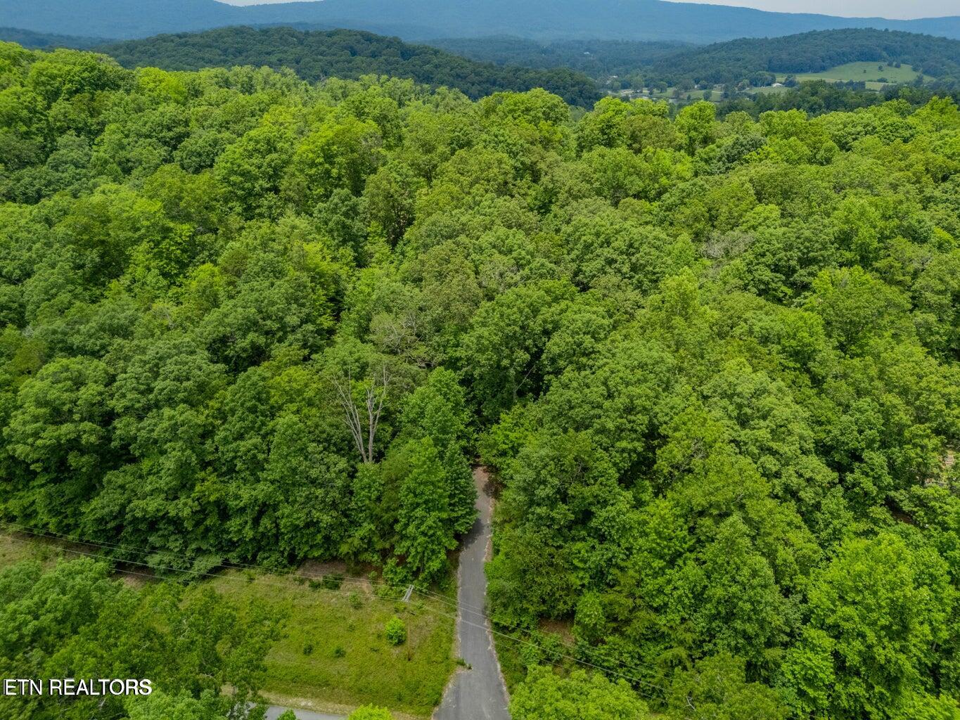 Crystal Springs Road Rockwood TN 37854