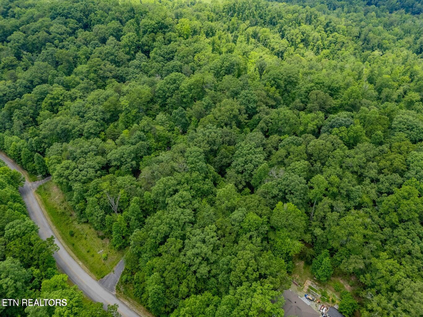 Crystal Springs Road Rockwood TN 37854