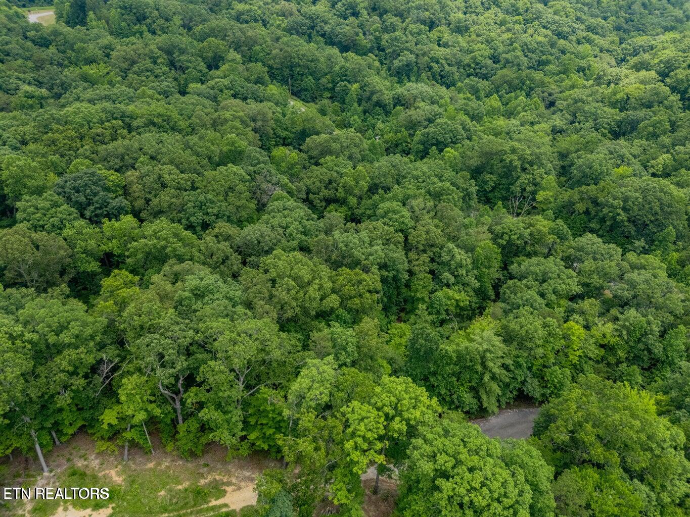 Crystal Springs Road Rockwood TN 37854