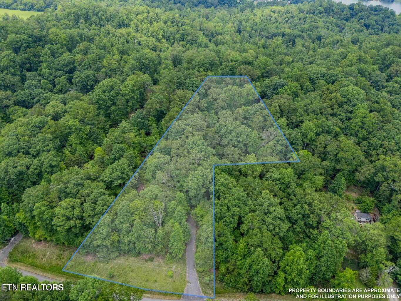 Crystal Springs Road Rockwood TN 37854
