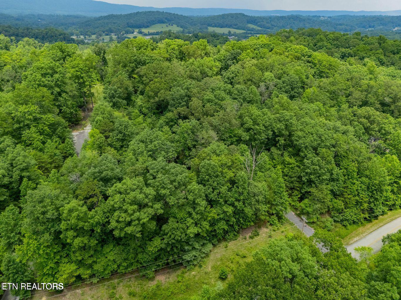 Crystal Springs Road Rockwood TN 37854