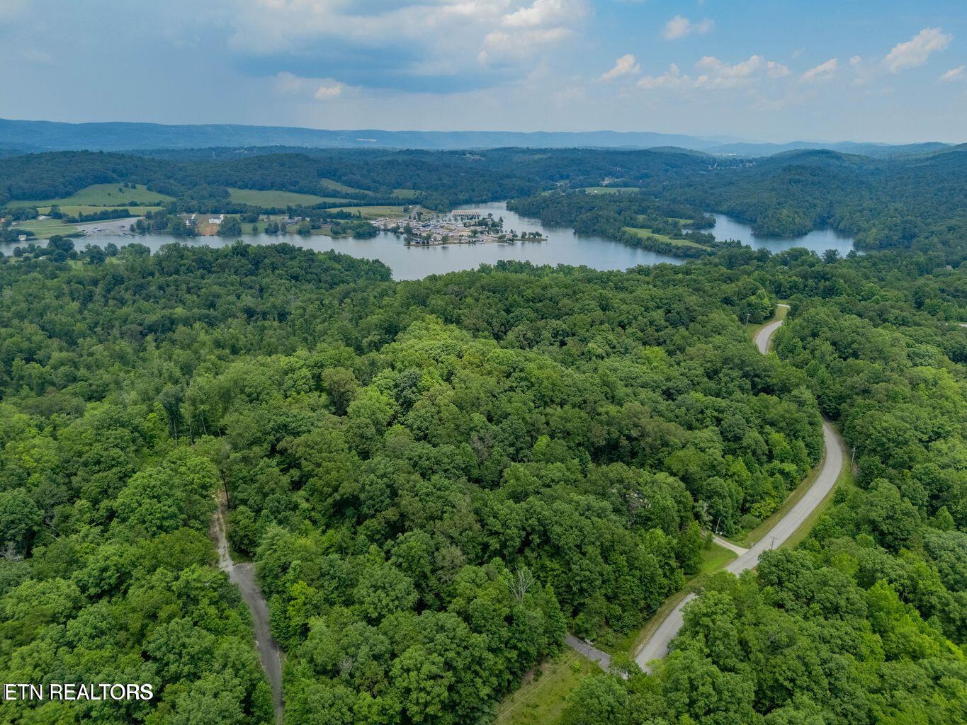 Crystal Springs Road Rockwood TN 37854
