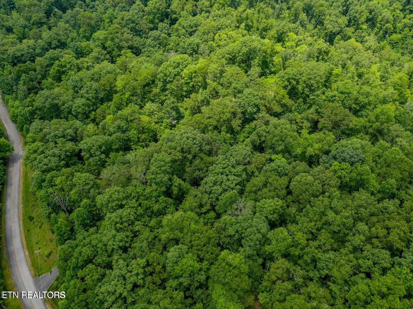 Crystal Springs Road Rockwood TN 37854