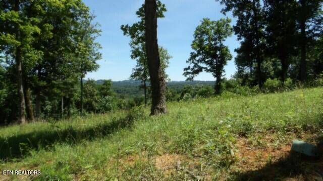Lot 7e Rock Fish Lane Hilham TN 38568